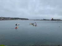 processed 32017D01 9A6C 4712 806C B3BB4D809966.geaendert