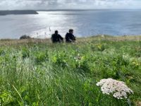 processed 590A4605 04F1 44C0 8826 B48FA895C2EC.geaendert