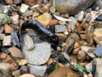 processed DD08D71D 8B83 466D 9281 81BF4BA212F7.geaendert