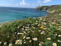 processed EEEF1907 F56B 490F 9007 82488B71E15B.geaendert